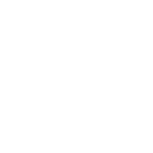 Optix Logo